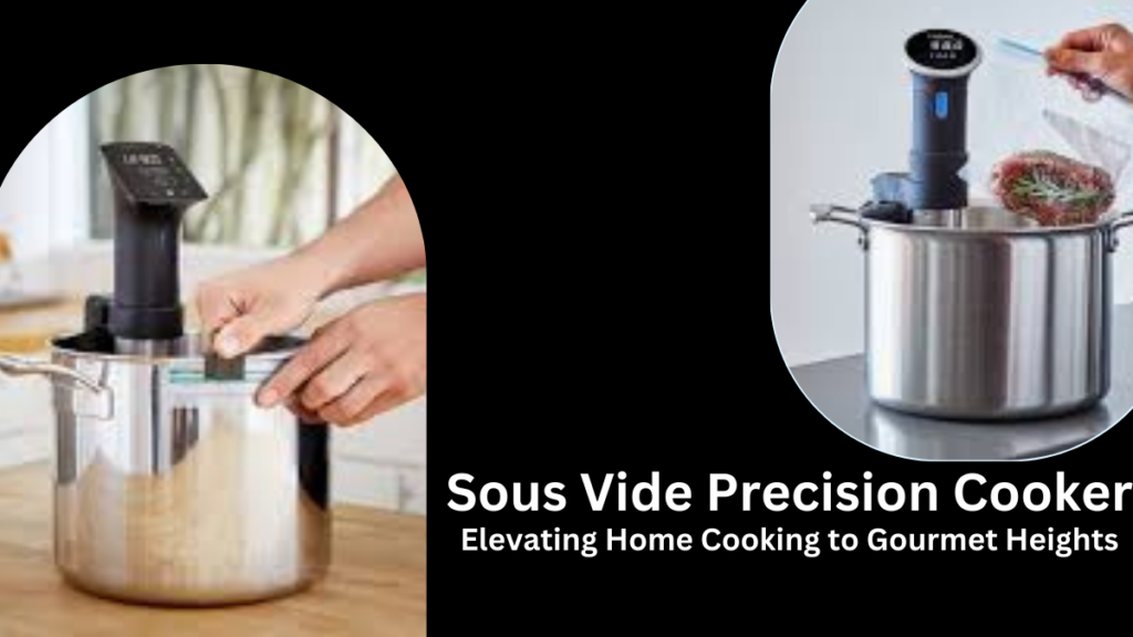 Unique Kitchen Gadgets : Sous vide precision cooker