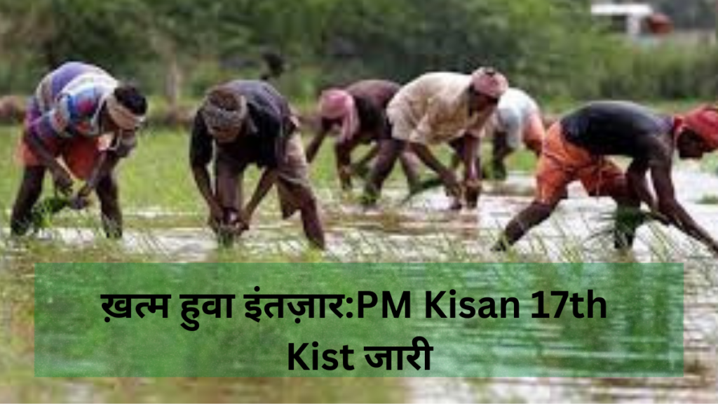 pm kisan yojna 17 kist:क्या है पीएम किसान योजना? ख़त्म हुवा इंतज़ार:PM Kisan 17th Kist जारी