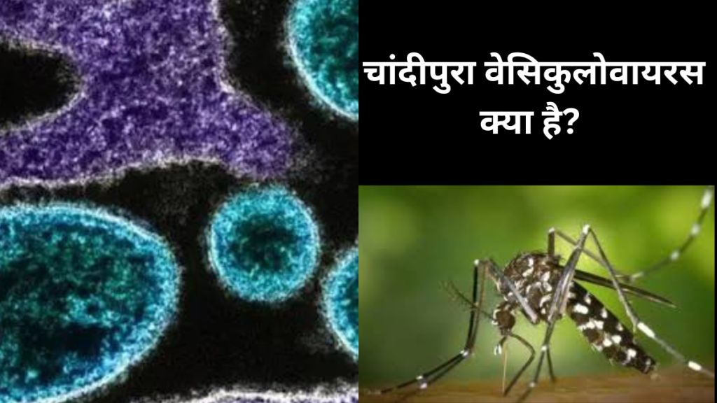 चांदीपुरा वेसिकुलोवायरस-what is Chandipura Vesiculovirus