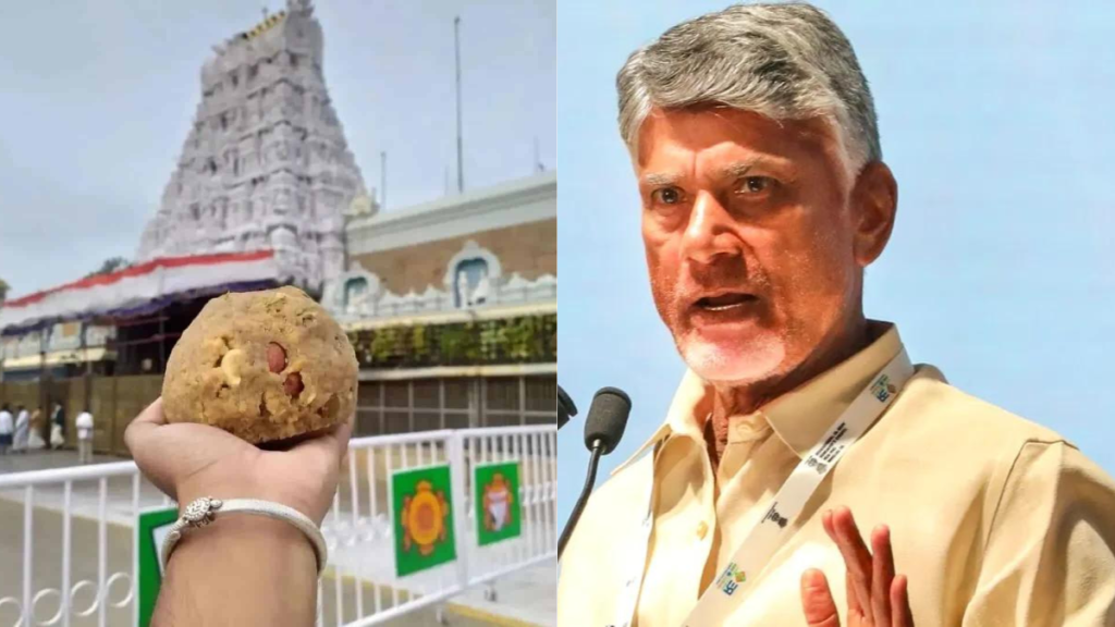 Tirupati Laddu Case-CM नायडू का सख्त बयान-किसी को नहीं बख्शा जाएगा